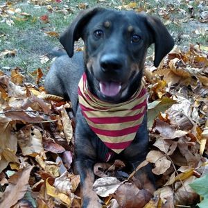 Meet your Posher, Nikki